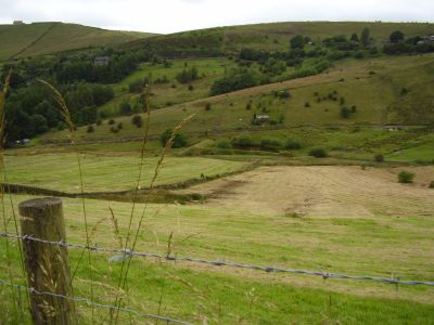 The Digglers' Lady Mary Memorial Wood
