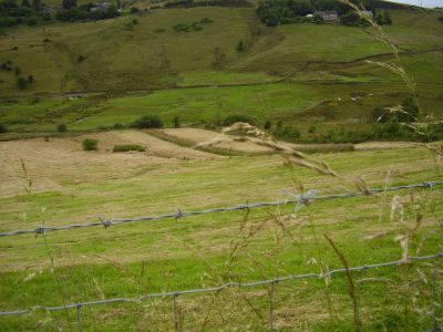 The Digglers' Lady Mary Memorial Wood
