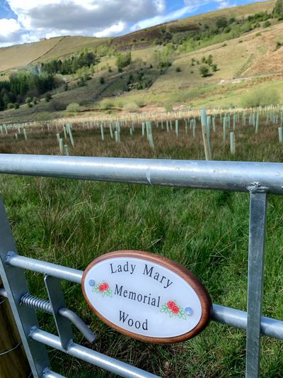 The Digglers' Lady Mary Memorial Wood Plaques
