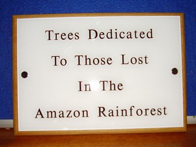 The Digglers' Lady Mary Memorial Wood Plaques
