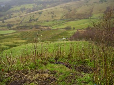 The Digglers' Lady Mary Memorial Wood